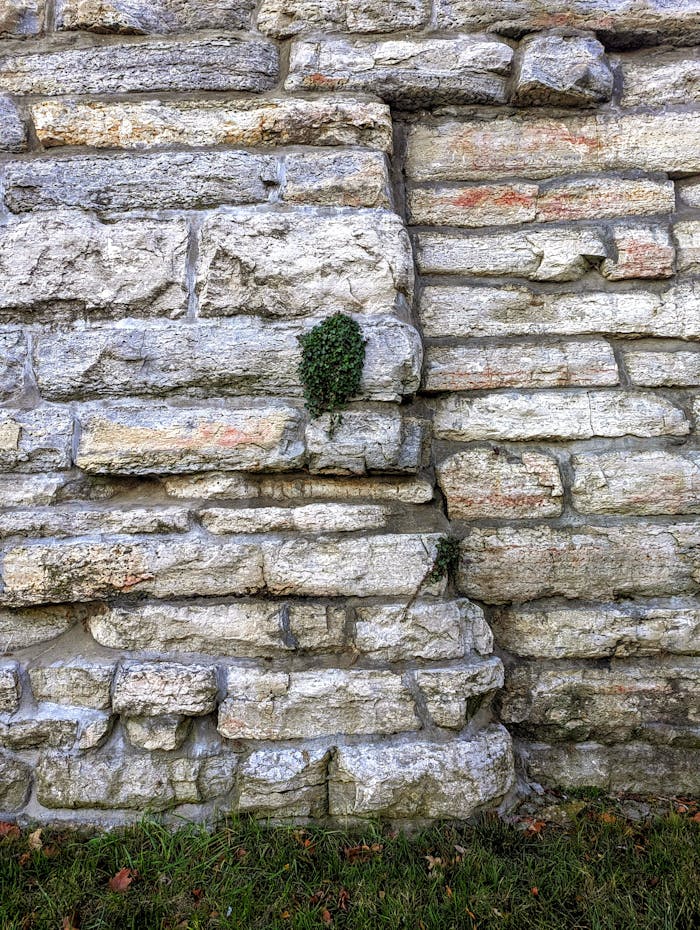Close-up of a stone wall with moss and grass, showcasing natural textures and colors.